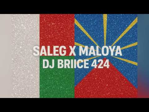 SALEG X MALOYA - DJ BRIICE 