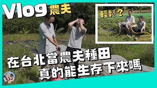 [閒聊] 如果很有錢的話，會考慮在台北種田嗎？