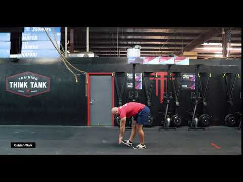 Ostrich Walk | TTT Exercise Index