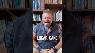 Miniatura do vídeo