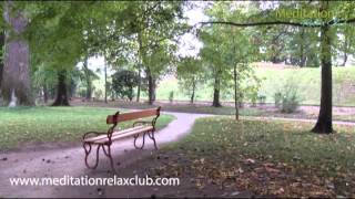 2 Hours Calm Music Peaceful Songs: Most Relaxing New Age Music for Meditation,Deep Sleep & Massage