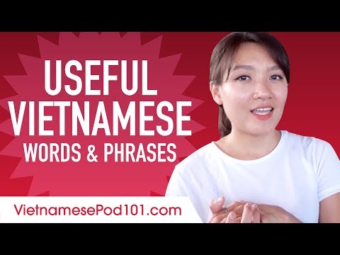 Useful Vietnamese Words & Phrases to Speak Like a Native