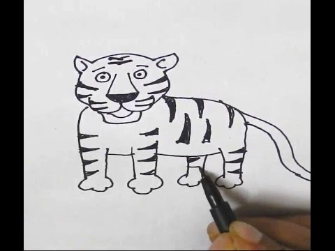 How to draw a Cartoon Tiger-in easy steps for beginners ...