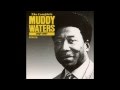 Muddy Waters, Kinfolk's blues - Edith de Ronde Muddy Waters, Kinfolk's blues