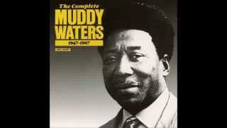 Muddy Waters, Kinfolk&#39;s blues