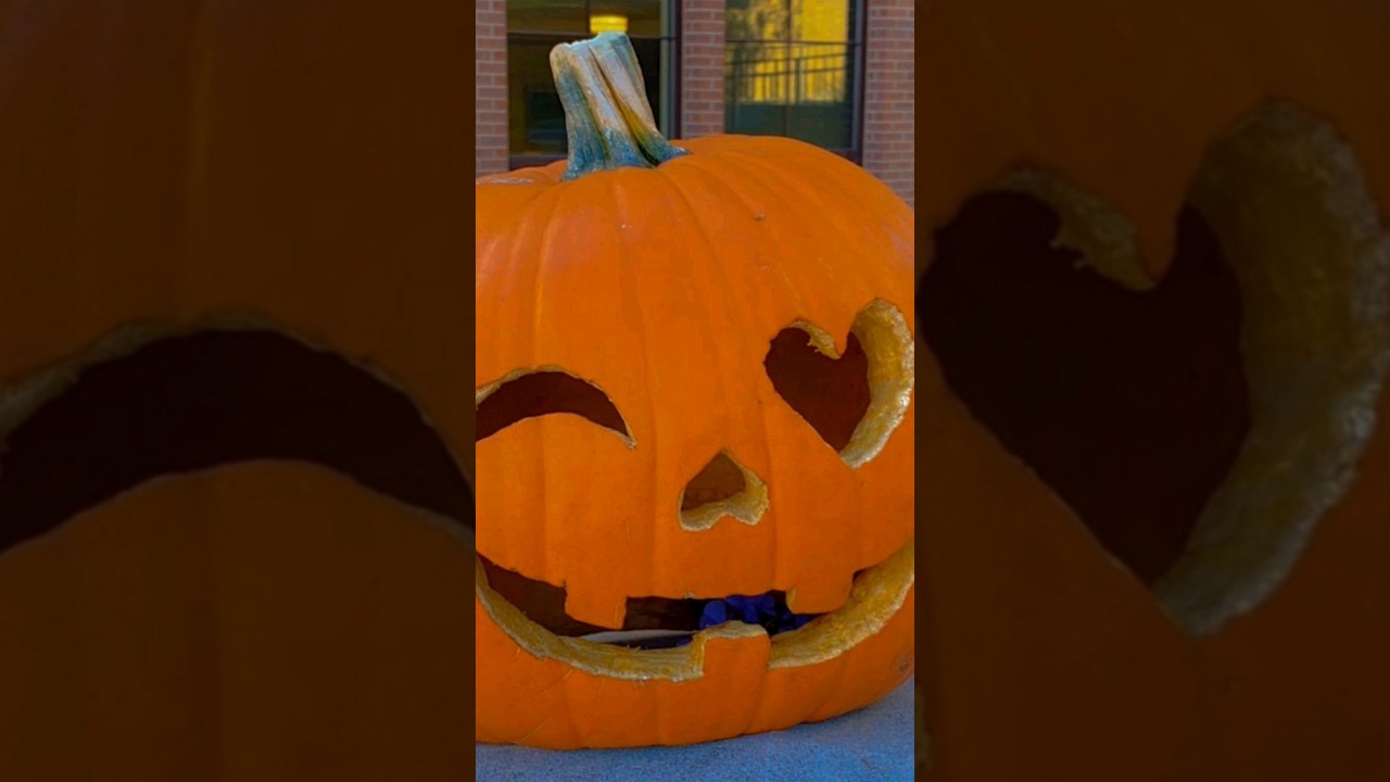 pumpkin carving ideas🎃✨️ #fypshorts #aesthetic #halloween #pumpkin #inspo #ideas