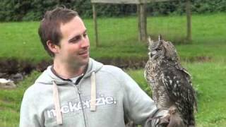 preview picture of video 'Exmoor Falconry'