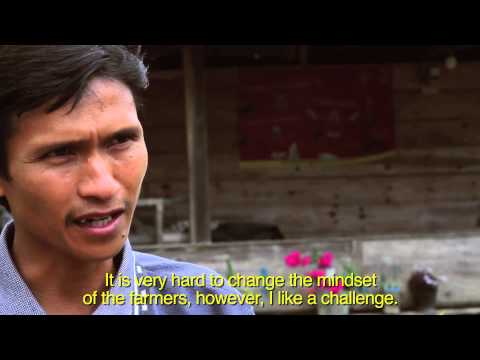 Vila Benteng Alla, Sulawesi - Café Campos