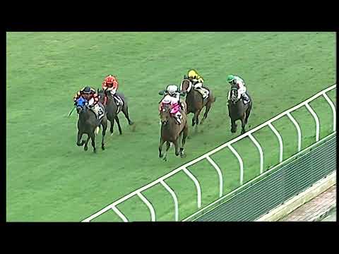 Napoli Galoppo 27/12/2021 - 2ª corsa