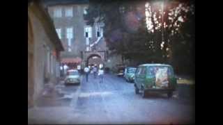preview picture of video 'Wildenfels Rosenschau 1990 Super8-Film'