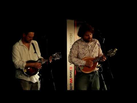 Munich String Band  , 21-5-2016  im Eine-Welt-Haus in München