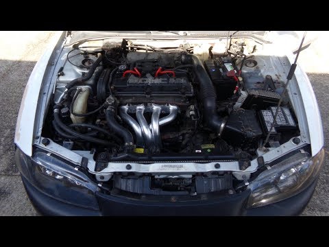 My Neighbors Are Going to HATE Me !?!