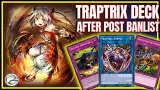 After the Banlist, Traptrix Deck Feels More Consistent Than Expected in Ranked!