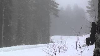 preview picture of video 'Rally Sweden 2014, SS9'