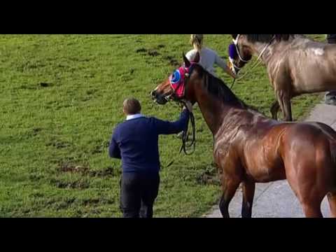 Belmont Park, 06/07/2016 - Race 3 - INDEFATIGABLE - Robert Harvey & Troy Turner