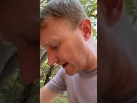 Bitcoin Skeptic, Let Me Attempt to Convince You