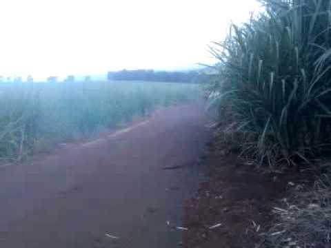 Aprendendo a Empina Cravinhos-SP