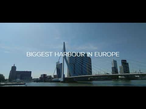 Rotterdam Montage 2019