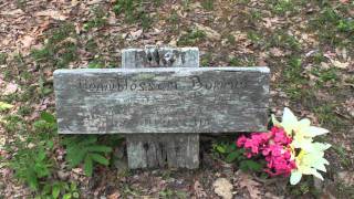 preview picture of video 'Coon Dog Cemetery - Tuscumbia Alabama'