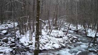 preview picture of video 'Hiking Greenbrier & Old Settlers Trail, part 1'