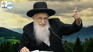 הרב יהודה יוספי - פרשת נח -  מחלמה נגד העמים ? אקטואליה להיום (ארגון ענפים) - התמונה מוצגת ישירות מתוך אתר האינטרנט יוטיוב. זכויות היוצרים בתמונה שייכות ליוצרה. קישור קרדיט למקור התוכן נמצא בתוך דף הסרטון