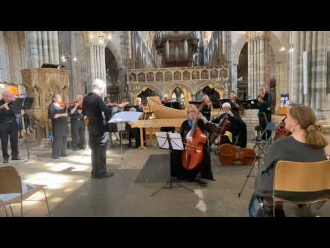 Jacqui Robertson-Wade and South West Baroque Orchestra play Telemann Viola da Gamba Concerto in D