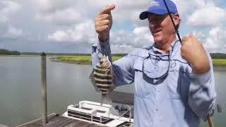 Fishing off the Front Dock (from The Fishing Naturalist)