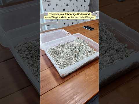 Autarkie: Geringere Kosten, besseres Leben, 100% Freiheit