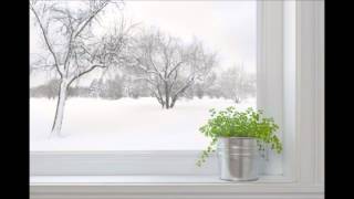 CapeCod.com Weather Forecast for February 4th, 2015