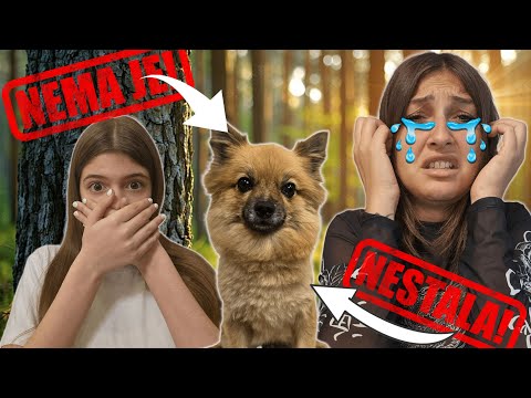 NAŠA MILA JE NESTALA!!! Nije fake!