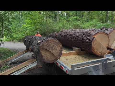 Loading Logs on New Trailer