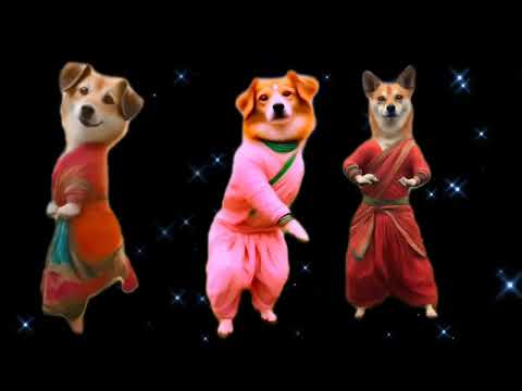Cute Dog Funny Dance 😂😜😂| viral dance video #funny #viralvideo #dance ###dog