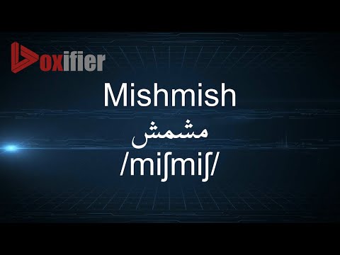 How to Pronunce Mishmish (مشمش) in Arabic - Voxifier.com