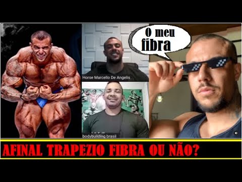 HORSE E O TRAPEZIO QUE FIBRA