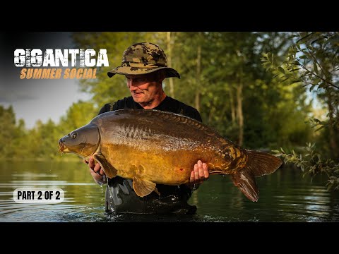 Pecky's Gigantica Social 2024 | Part 2 of 2, Extract