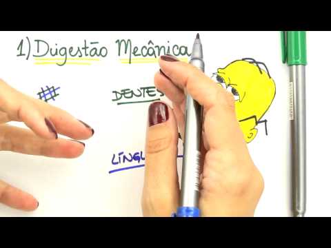 Me Salva! Extensivo de Biologia - FHA04 - Sistema Digestório III - Fisiologia Humana: Fase Cefálica