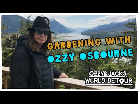 Visiting the Upside Down Forest | Ozzy & Jack's World Detour