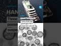 Hantavirus: Three cruise ship passengers die in suspected outbreak • FRANCE 24 English