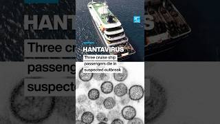 Hantavirus: Three cruise ship passengers die in suspected outbreak • FRANCE 24 English