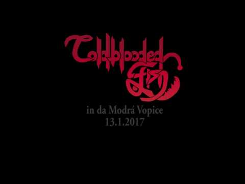 Coldblooded Fish - Modrá Vopice 13.1.2017 (full concert)