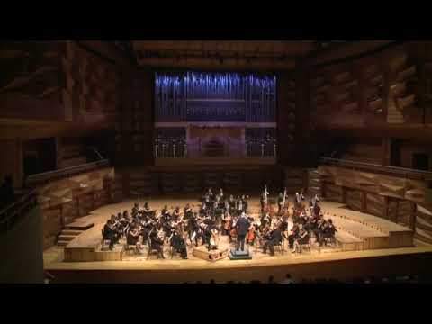 Jamal Aliyev, Tchaikovsky - Rococo Variations