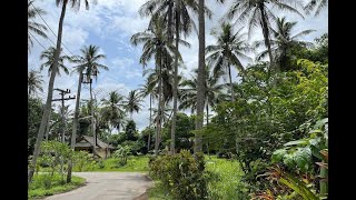 One Rai of Land for Sale in the Heart of Ao Nang - Only 3 minutes from the Beach