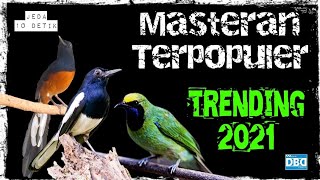 Download lagu Masteran Pilihan Juri 🔴 Murai Batu Cucak Ijo Kacer 🔴 Tanpa Iklan 🔴 Suara Jernih 🔴 Jeda 10 Detik mp3