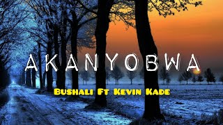 Akanyobwa - Bushali Ft Kevin Kade (Video Lyrics)
