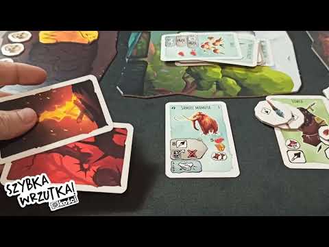 Szybka Wrzutka - Paleo