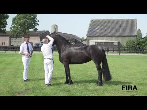 Locatiekeuring Stal Hestegaarden Beek &amp; Donk 27-6-2020