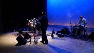 Will Ackerman - Hawk Circle - Jeff Oster , Pat Gorman , Luke Vail LIVE