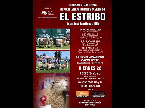 28/02/2025 El Estribo (Ovinos)  -  Bengochea SRL, Luis A. / Local Conventos - Cerro Largo