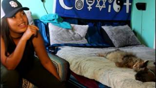 Is Vapor Better than Smoke? PewDiePie, Astral Projection, Incense, Cats, Wisdom, Rip &amp; Dip Session#9