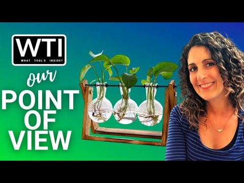 XXXFLOWER Plant Terrariums - WTI product video review
